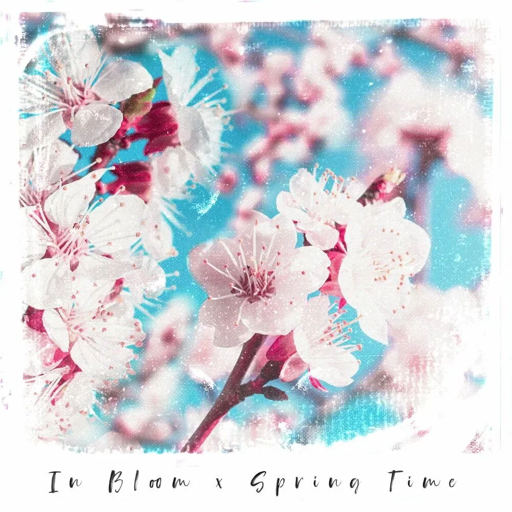 In Bloom