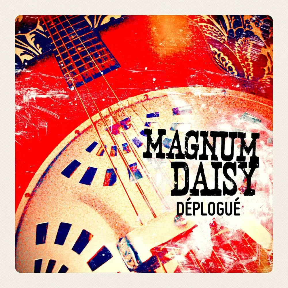Magnum Daisy