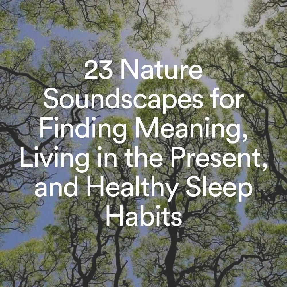 Nature Ambience
