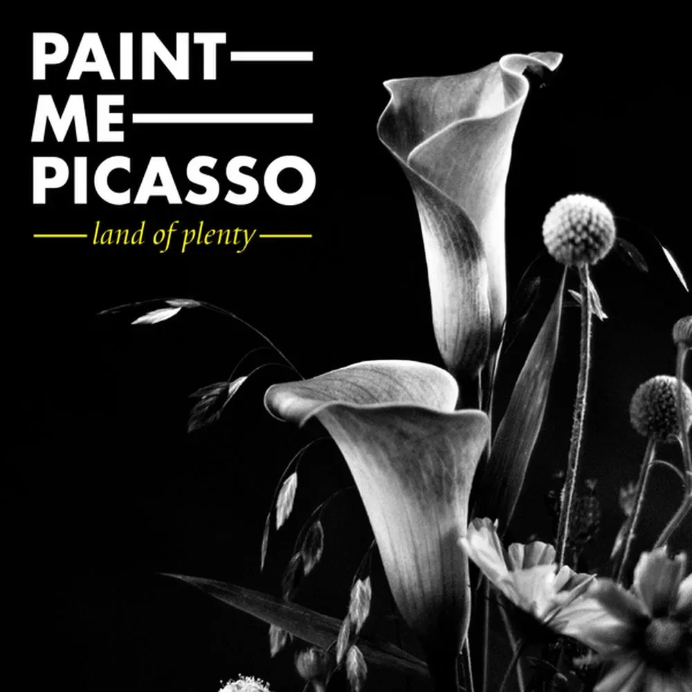 Paint Me Picasso