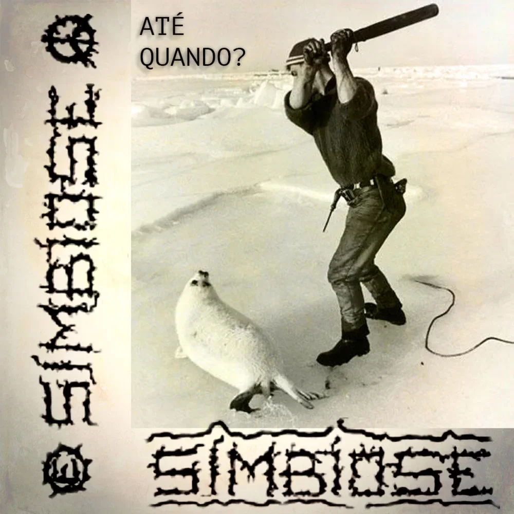 Simbiose