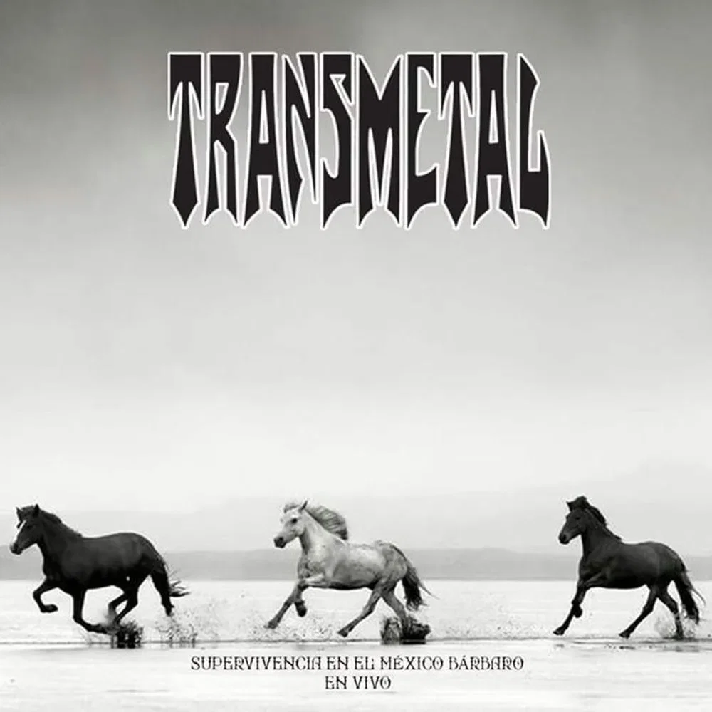 Transmetal