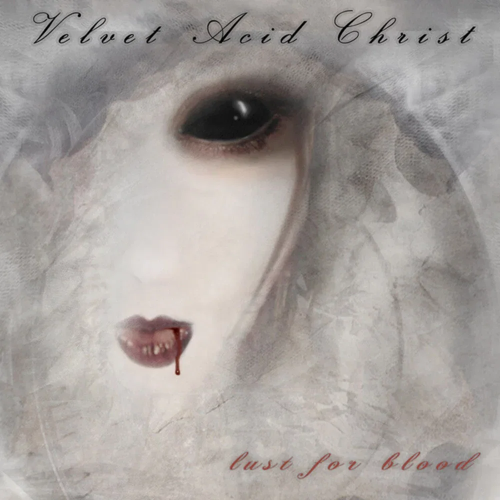 Velvet Acid Christ