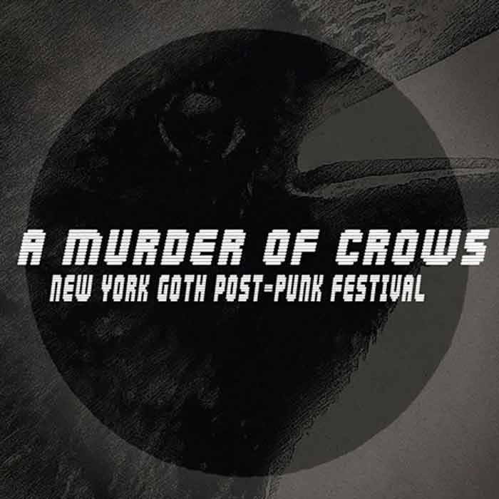 A Murder of Crows