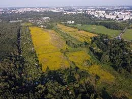 Błonia Łódzkie